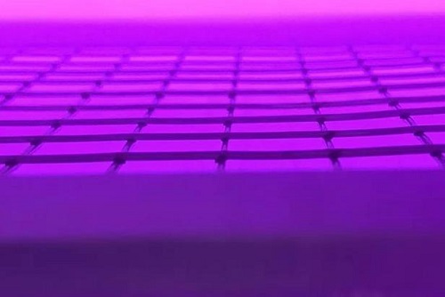 fpc玉米视频app在线观看