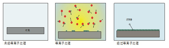 玉米视频app在线观看特征4